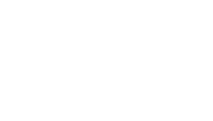 Logo ICEI