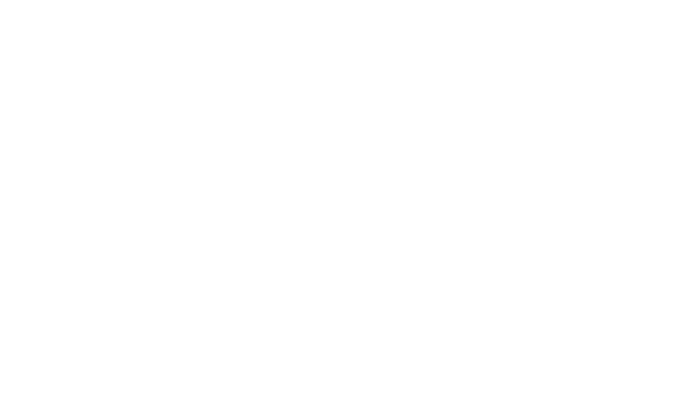 Logo INSECOM