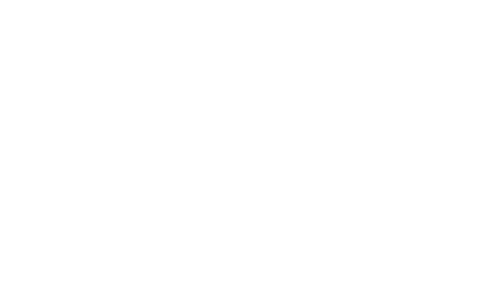 Logo STid